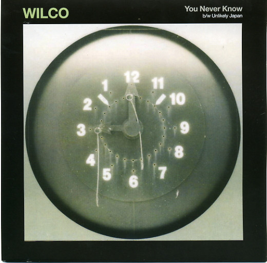 WILCO / ウィルコ / YOU NEVER KNOW