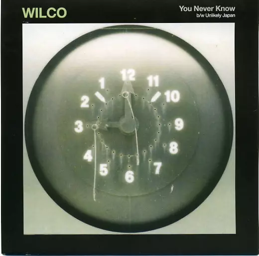WILCO / ウィルコ / YOU NEVER KNOW