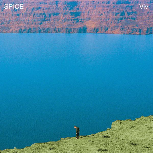 SPICE (INDIE ROCK) / スパイス / VIV (CD)