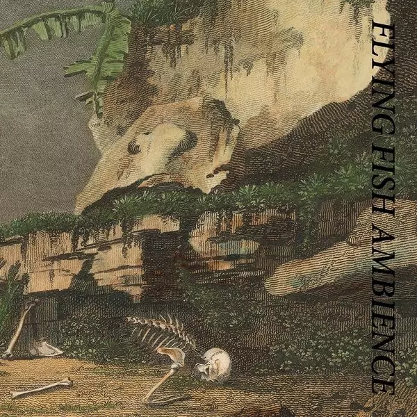 RAINFOREST SPIRITUAL ENSLAVEMENT / レインフォレスト・スピリチュアル・エンスレイヴメント / FLYING FISH AMBIENCE (CD)