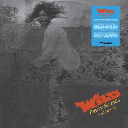 V.A. / WILD PAARTY SOUND