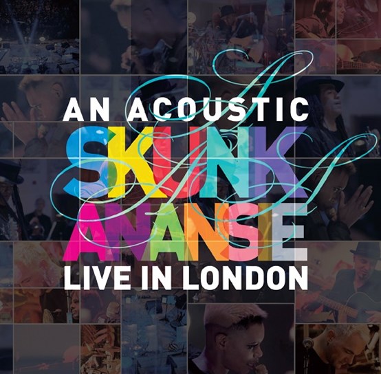 SKUNK ANANSIE / スカンク・アナンシー / AN ACOUSTIC SKUNK ANANSIE - LIVE IN LONDON [LP]