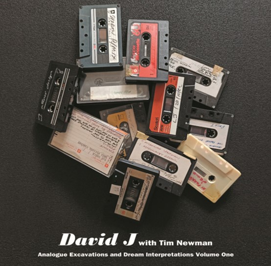 DAVID J WITH TIM NEWMAN / ANALOGUE EXCAVATIONS & DREAM INTERPRETATIONS VOLUME 1 [LP]