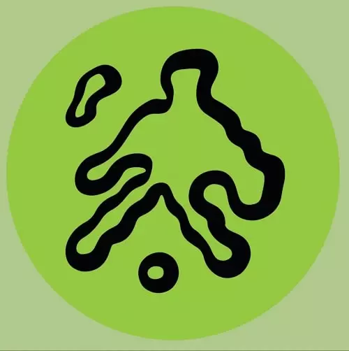 CHAOS IN THE CBD / カオス・イン・ザ・CBD / BRAINSTORM