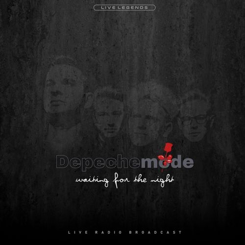 DEPECHE MODE / デペッシュ・モード / WAITING FOR THE NIGHT (2LP)