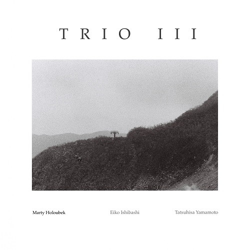 MARTY HOLOUBEK / マーティ・ホロベック / Trio III(LP)