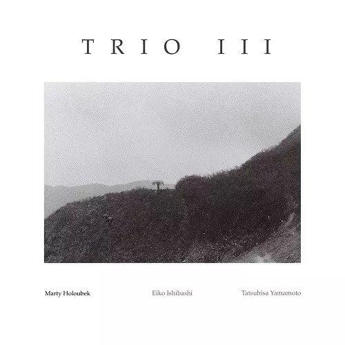 MARTY HOLOUBEK / マーティ・ホロベック / Trio III(LP)