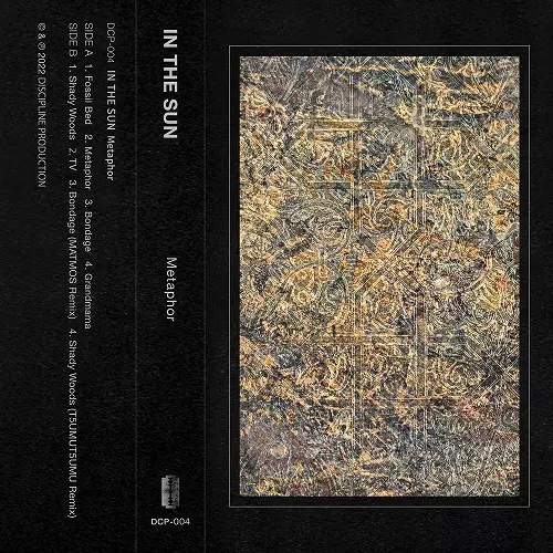 IN THE SUN(PUNK) / Metaphor