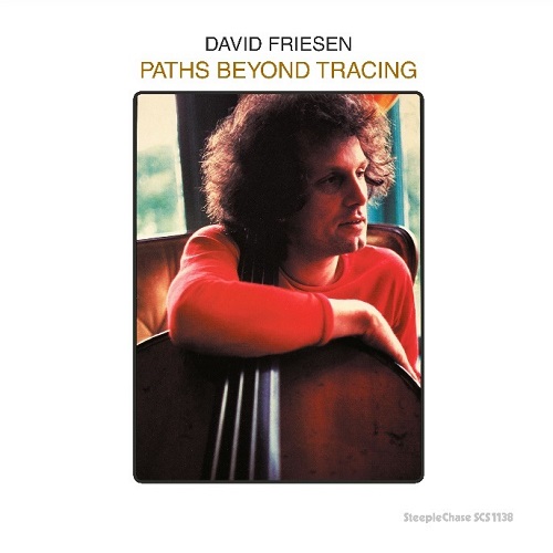 DAVID FRIESEN / デヴィッド・フリーゼン / Paths Beyond Tracing(LP)