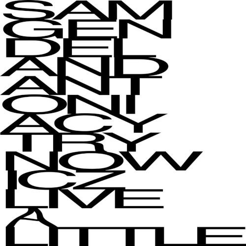 SAM GENDEL  / サム・ゲンデル / Live a Little (LP)