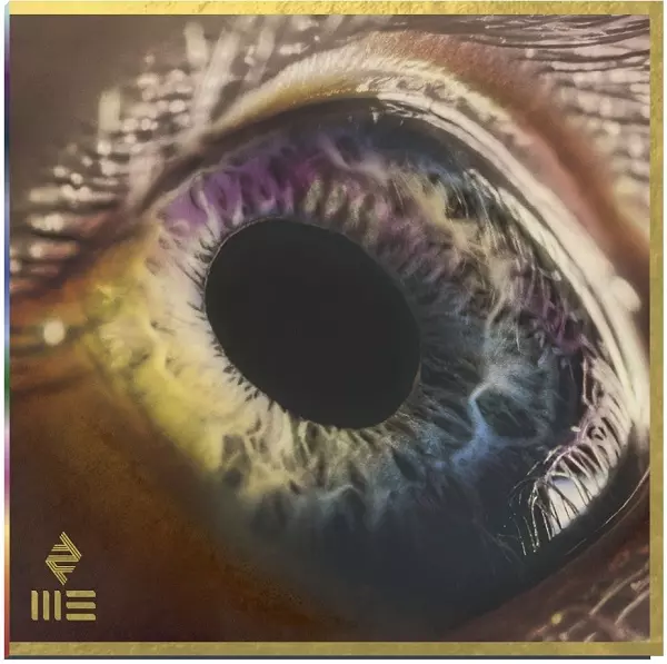 ARCADE FIRE / アーケイド・ファイア / WE (VINYL)