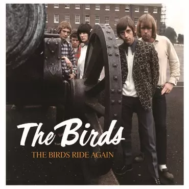 BIRDS / バーズ / THE BIRDS RIDE AGAIN [5x7" BOX]
