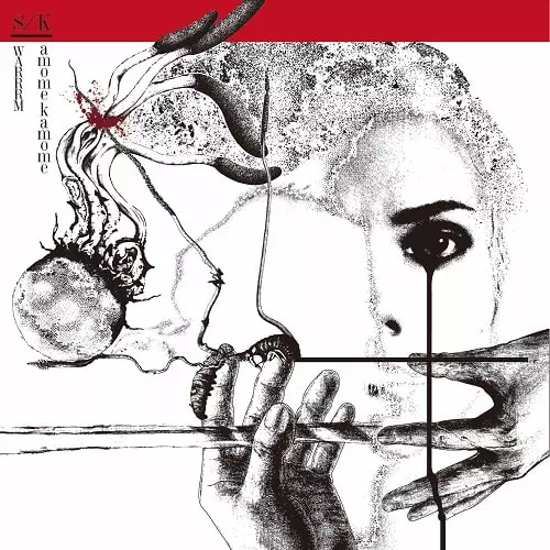 kamomekamome / SWARRRM / kamomekamome / SWARRRM (SPLIT 12inch)