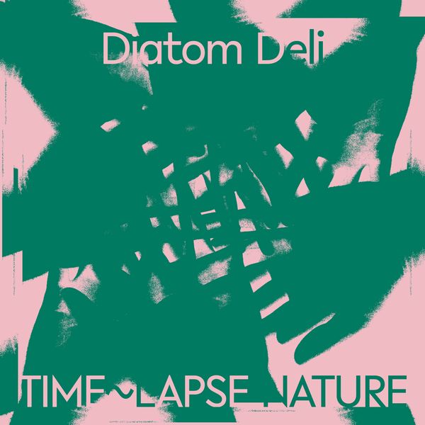 DIATOM DELI / ダイアトム・デリ / TIME~LAPSE NATURE (COLORED VINYL)