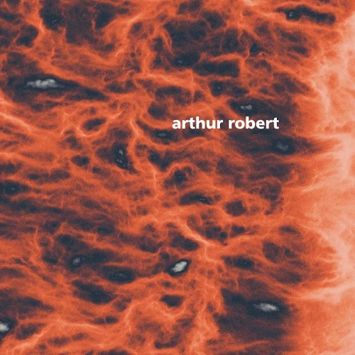 ARTHUR ROBERT / METAMORPHOSIS PART 2