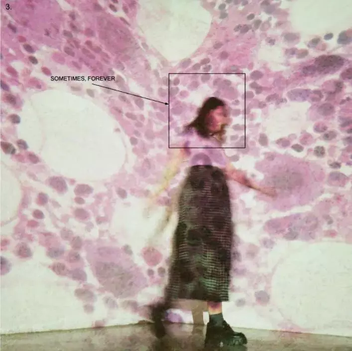 SOCCER MOMMY / サッカー・マミー / SOMETIMES, FOREVER (CD)