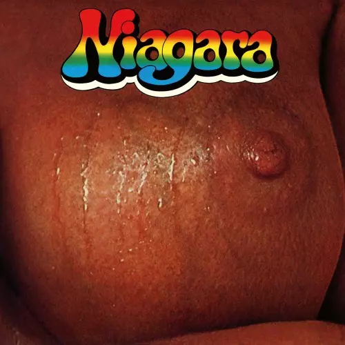 NIAGARA (DEU) / ナイアガラ / NIAGARA: LIMITED VINYL