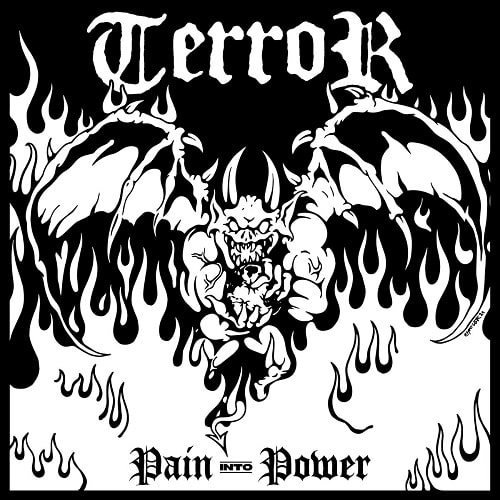 TERROR / PAIN INTO POWER (LP)
