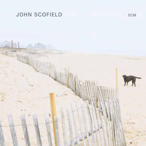 JOHN SCOFIELD / ジョン・スコフィールド / John Scofield(LP/180g)