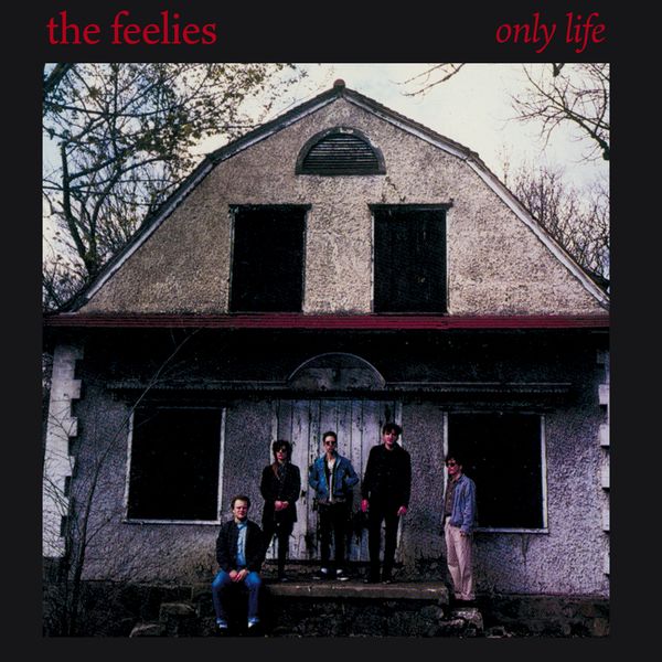 FEELIES / フィーリーズ商品一覧｜PUNK｜ディスクユニオン・オンライン