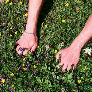 PRIMROSE (CLUB) / SET MY HEART ON FIRE