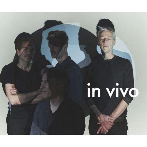 TRIO VIRET + / トリオ・ヴィレ・オーグメンテッド / IN VIVO / イン・ヴィヴォ
