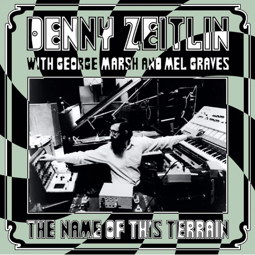 DENNY ZEITLIN / デニー・ザイトリン / Name Of This Terrain(LP)