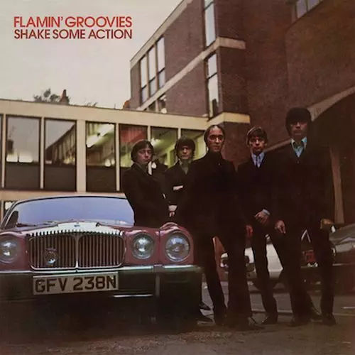 SHAKE SOME ACTION (LP)&frasl;FLAMIN' GROOVIES&frasl;フレイミン・グルーヴィーズ