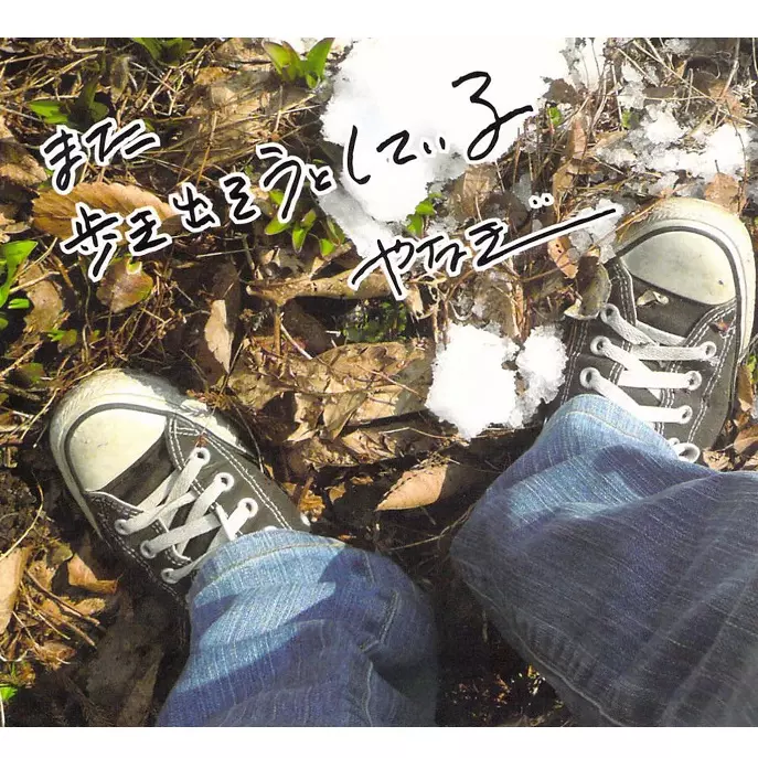 YANAGI / やなぎ / また歩き出そうとしている