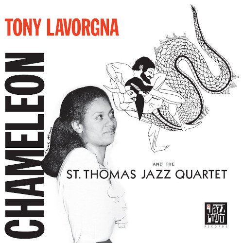 Chameleon(LP)/TONY LAVORGNA/トニー・ラヴォールニャ/1982年発表の 