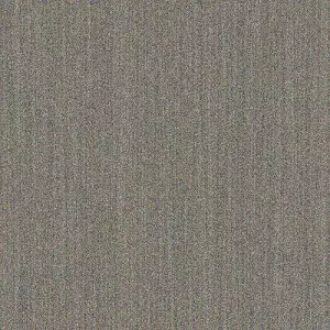 V.A. (SEMANTICA) / DRAW THE LINE