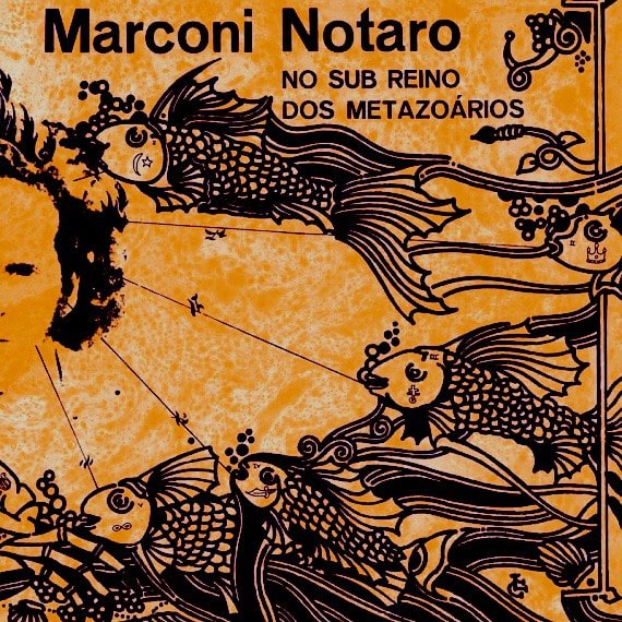 MARCONI NOTARO / マルコーニ・ノタロ / NO SUB REINO DOS METAZOARIOS