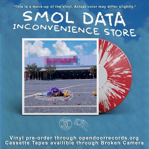 SMOL DATA / INCONVENIENCE STORE (LP)