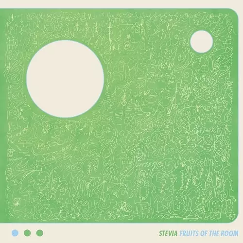 STEVIA / ステビア(ススム・ヨコタ) / FRUITS OF THE ROOM (2LP)