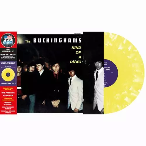 The Buckinghams バッキンガムズ　恋がしたい　7インチ レコード BUCKINGHAMS / バッキンガムズ商品一覧｜SOUL / BLUES｜ディスク
