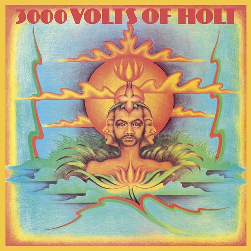 JOHN HOLT / ジョン・ホルト / 3000 VOLTS OF HOLT