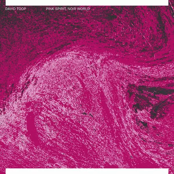 DAVID TOOP / デイヴィッド・トゥープ / PINK SPIRIT, NOIR WORLD (2LP)