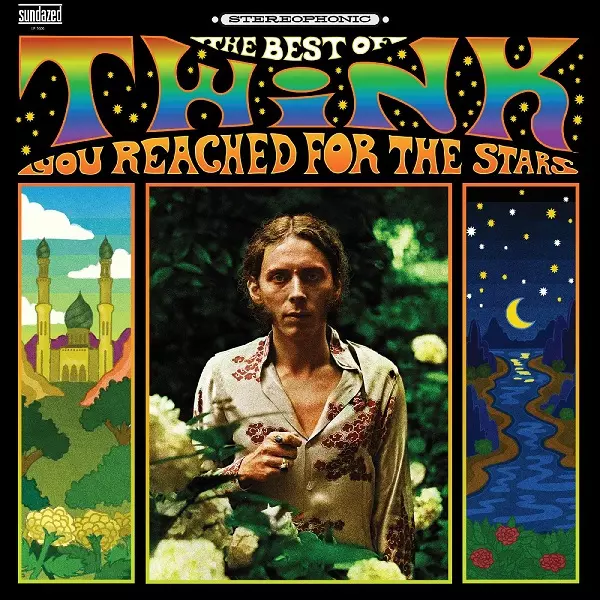 TWINK / トゥインク / YOU REACHED FOR THE STARS: THE BEST OF TWINK (CD)