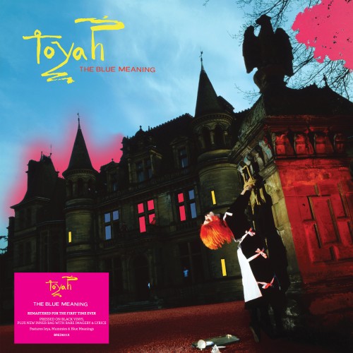 TOYAH / トーヤ / THE BLUE MEANING - REMASTER/140g LIMITED VINYL