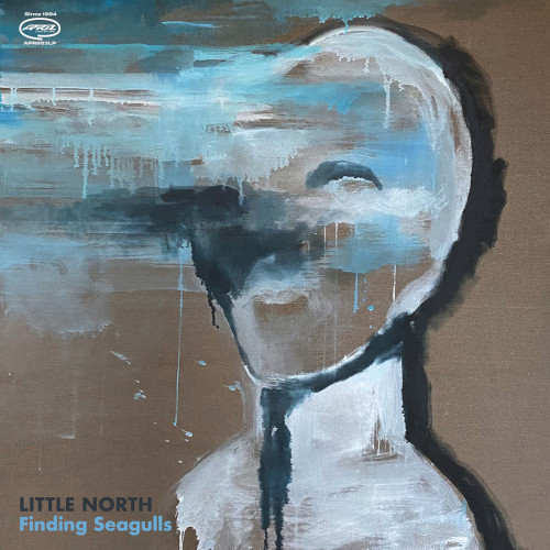 LITTLE NORTH / リトル・ノース / Finding Seagulls (LP)