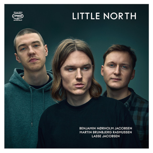 LITTLE NORTH / リトル・ノース / Little North (LP)