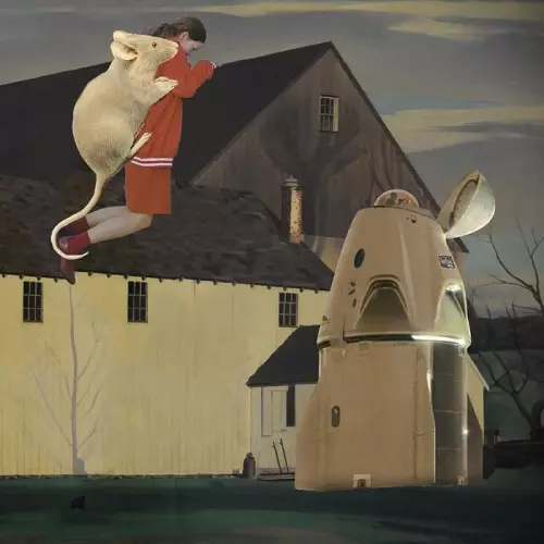 DENIS KAZNACHEEV / DREAM FARM