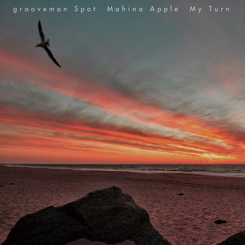 grooveman Spot & Mahina Apple / My Turn