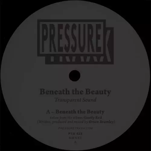 TRANSPARENT SOUND / BENEATH THE BEAUTY