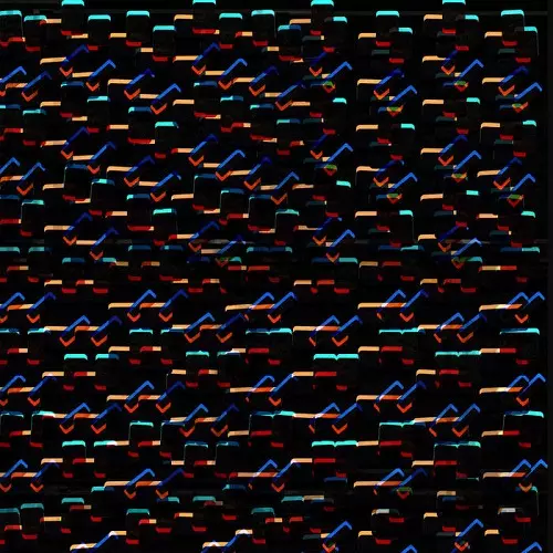 SHXCXCHCXSH / KONGESTION