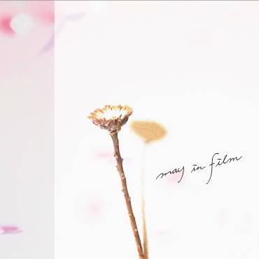 may in film / flower letter