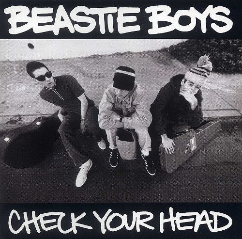 BEASTIE BOYS / ビースティ・ボーイズ / CHECK YOUR HEAD (4LP DELUXE BOX SET)