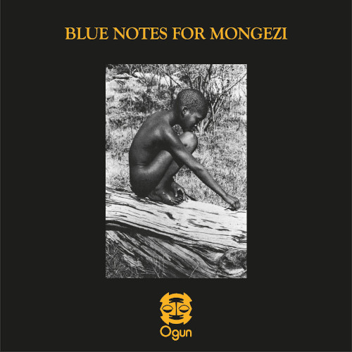 BLUE NOTES(CHRIS MCGREGOR) / ブルー・ノーツ(クリス・マクレガー) / Blue Notes For Mongezi