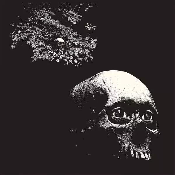 OSEES / A FOUL FORM (CD)