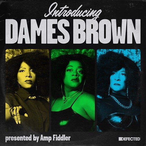 DAMES BROWN / デイムス・ブラウン / INTRODUCING DAMES BROWN (PROD. AMP FIDDLER)